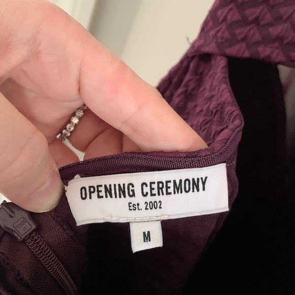 ⭐️ Opening Ceremony Dress ⭐️ - Picture 7 of 10